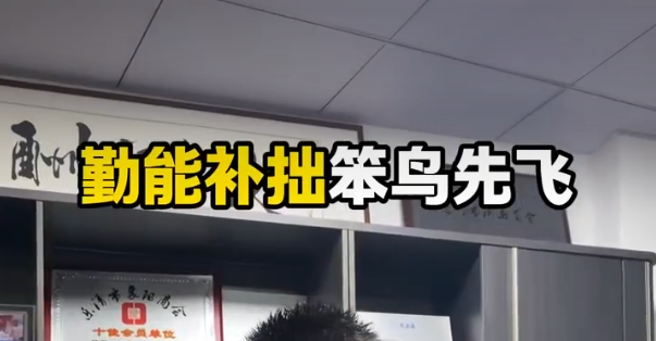 勤能補(bǔ)拙笨鳥(niǎo)先飛